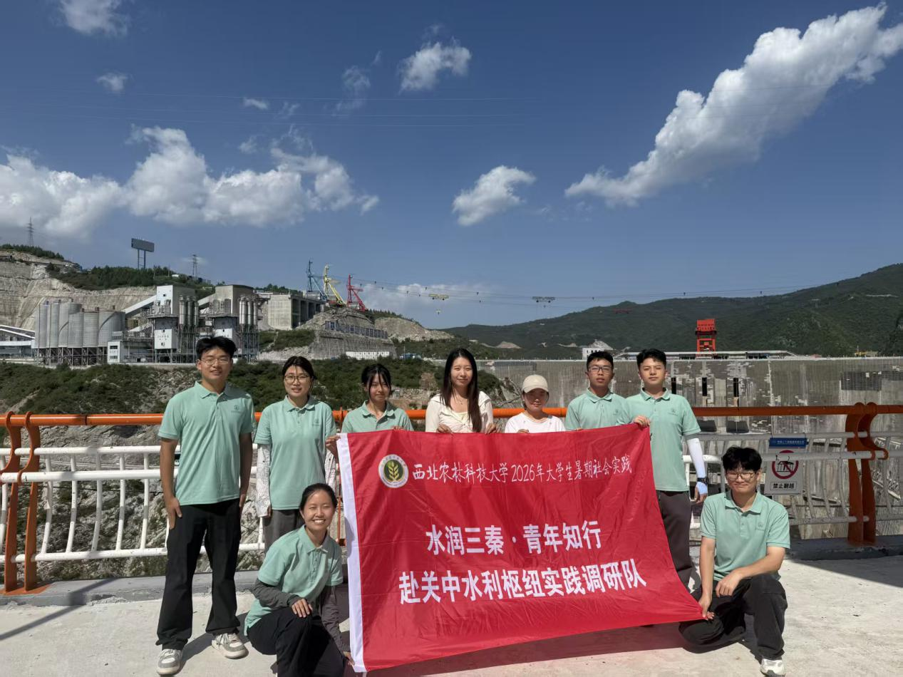 图片14.png